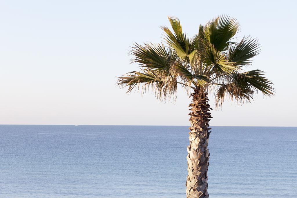 Sud Beach Hotel Fronte Mare By Ria Hotels Marina Di Pulsano Phòng bức ảnh